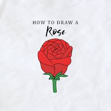 how to draw a rose the easy way step