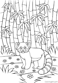 Bringing this bamboo coloring page along for your next magical of flora and fauna picking journey, turn it into a puppet show! Red Panda In The Bamboo Forest Coloring Page Coloringall