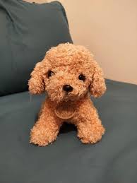 poodle puppy stuffed toy hobbies