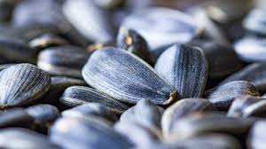 sunflower seeds nutrition health