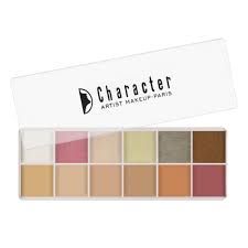12 color artist makeup palette