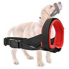 Top 10 Fit Muzzles Of 2019 Best Reviews Guide