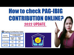 how to check pag ibig contribution