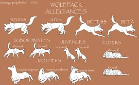 Wolf Pack Ranks Google Search Wolf Pack Ranks Wolf