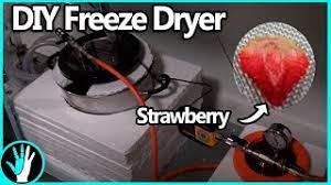 how to build a freeze dryer you
