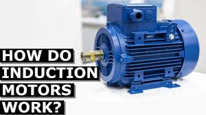 induction motor basics you