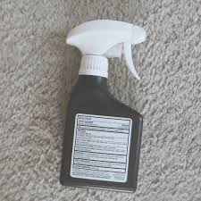 can you kill mold on carpet my stay