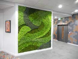Moss Walls Moss Art With A Wow Factor