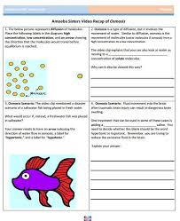 Some of the worksheets for this concept are amoeba sisters video recap, home, amoeba sisters video refreshers april 2015, amoeba sisters answer key, blood. Osmosis Handout Made By The Amoeba Sisters Click To Visit Website And Scroll Down To Do Teaching Cells Biology Worksheet Kindergarten Math Worksheets Addition