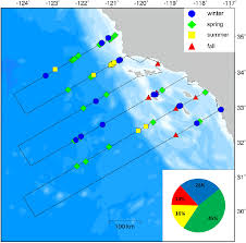 On Effort Visual Detections Of Pacific White Sided Dolphins