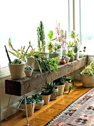 thrifty diy plant stand ideas my life