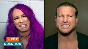 Image result for wwe superstar male and female