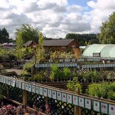 buckingham nurseries garden centre