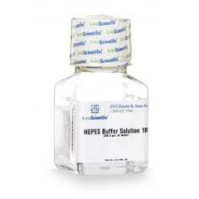 hepes buffer solution 1m