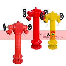 2 way pillar fire hydrant fire