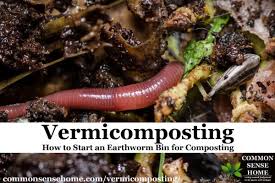 earthworm bin for composting