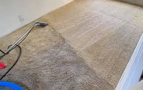 carpet cleaning maidstone