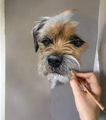 50,621 likes · 7,012 talking about this. New Commission Underway The Sweetest Little Border Terrier 14 5x18 Borderterrier Petportrait Dog Art Animal Art Dog Paintings