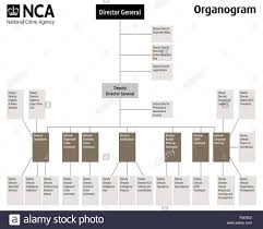 36 National Crime Agency Organisational Chart Stock Photo