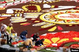 brussels flower carpet