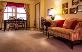 carpet cleaning and upholstery cleaning