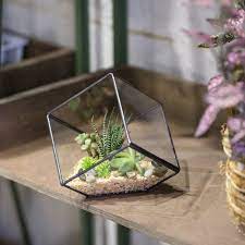 Ncyp Geometric Glass Terrarium Cube