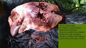 Bullet velocity and mass will affect the nature of wounding. Effective Game Killing