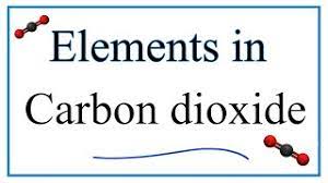 elements in carbon dioxide you