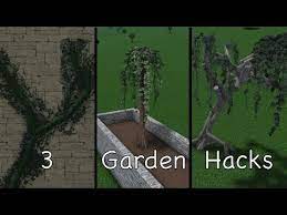 3 S To Improve Your Garden
