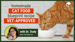 homemade cat food recipes vet approved