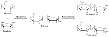 sucrose as catalyzed by pali