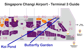 singapore changi airport erfly