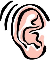 Image result for images for the ear