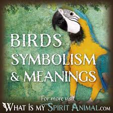 bird symbolism meaning spirit
