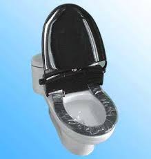 The Sanitary Toilet Seat Or Hygienic