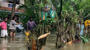 Realtime rescue updates based on data from keralarescue.in and another relevent sources. Kerala Floods Live 31 Flood Hit Houses Cleaned 23 Lakh Electricity Connections Restored