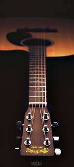 266056 acoustic guitar guitar string