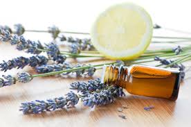 Image result for essential oil images