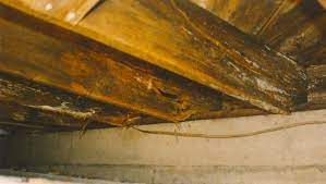 Floor Joist Rot Can Occur In A Basement