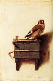 Image result for goldfinch fabritius