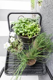 How To Plant Herbs In Metal Containers