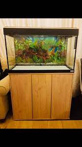 Maybe you would like to learn more about one of these? Fluval Roma 125 Litre Aquarium Cabinet In Telford Fur 60 00 Zum Verkauf Shpock De