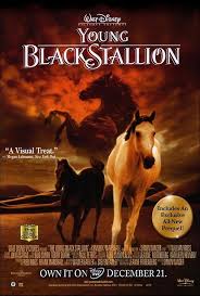 A boy forges a special friendship with a wild stallion after both are shipwrecked on a deserted island. Young Black Stallion Movie Poster 27 X 40 Fruugo Lu