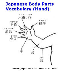 Learn Japanese Hiragana Chart Learn Japanese 6 000 Words