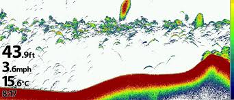 2d sonar fish finder technology