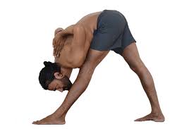 ashtanga yoga primary series asanas