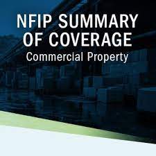 | The National Flood Insurance Program for Agents gambar png