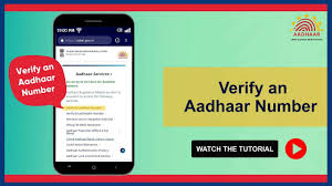 aadhaar verification verify any