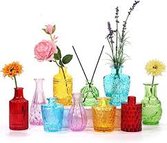 Bigivaca Set Of 10 Glass Bud Vases