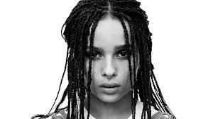 50 box braids hairstyles to try in 2024